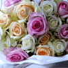 Premium Rainbow Garden Roses Luxury Gift Set - Flowers, Chocolates
