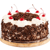 Black Forest Round Cake