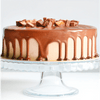 Elite Caramel Mousse Chocolate Cake