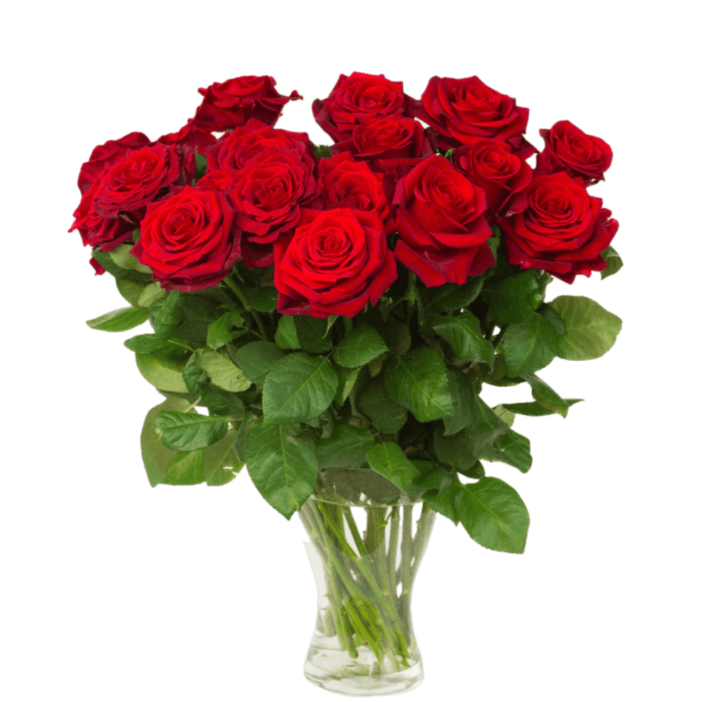 Red Roses Bouquet MakeMyGift
