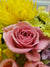 pink rose flower