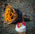 a bouquet of sunflowers and a cake on the ground