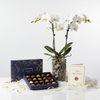 Premium Orchid Planter Luxury Gift Set with Chocolates