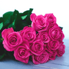 Hot Pink 12 Stem Roses Bouquet